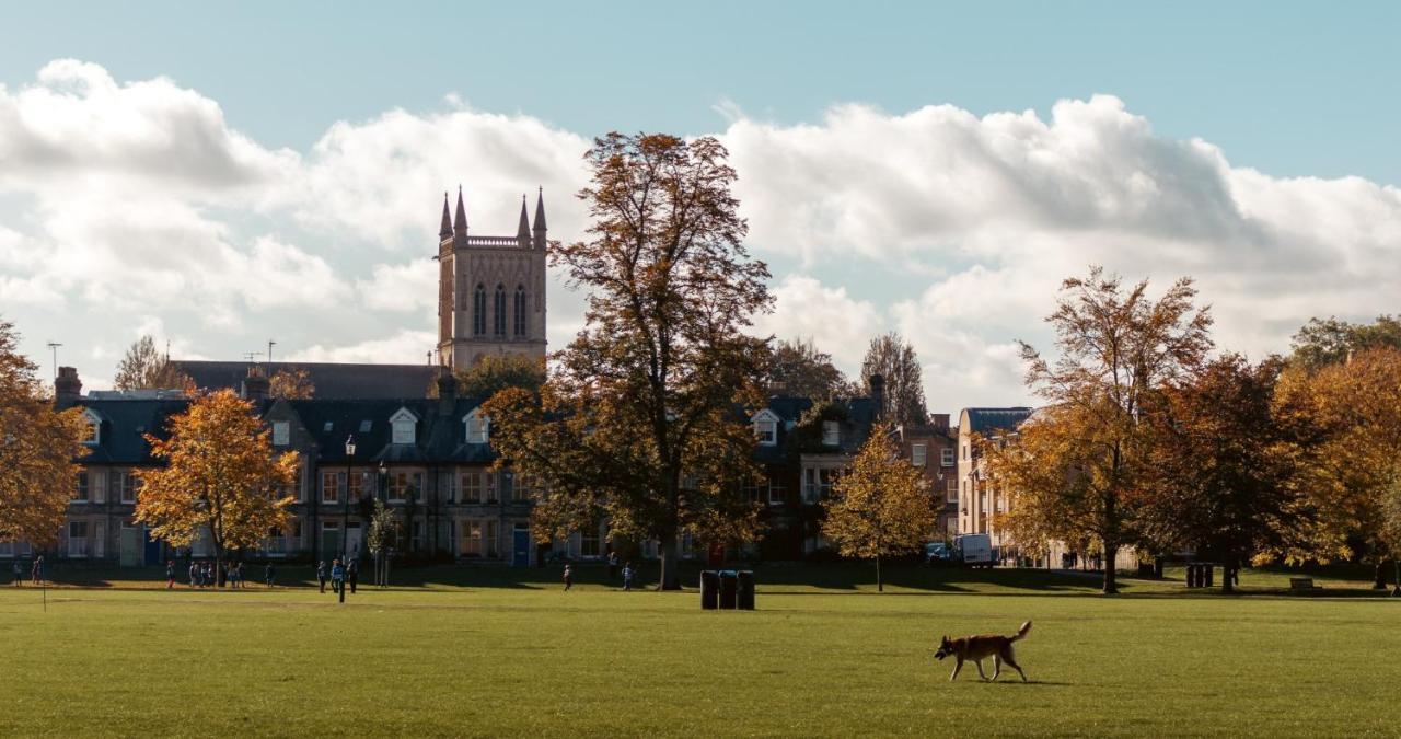 Stunning 1Br - Super Central- Peaceful Area - Lower Ground Apartment Cambridge  Exteriér fotografie